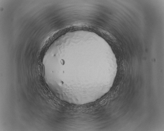 X0000072510776200608041505