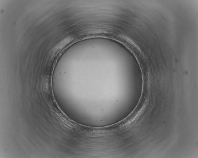 X0000072510777200608041505