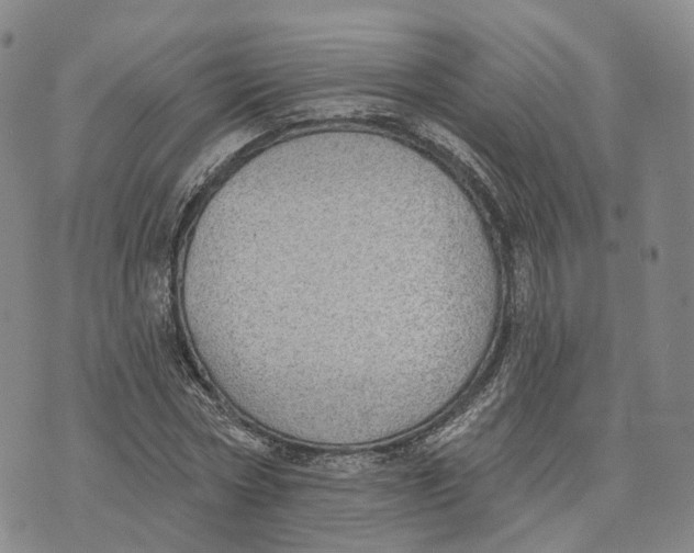 X0000072510778200608041505