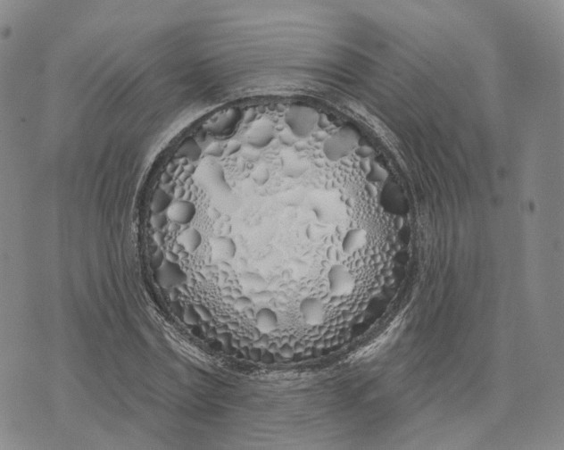 X0000072510779200608041505