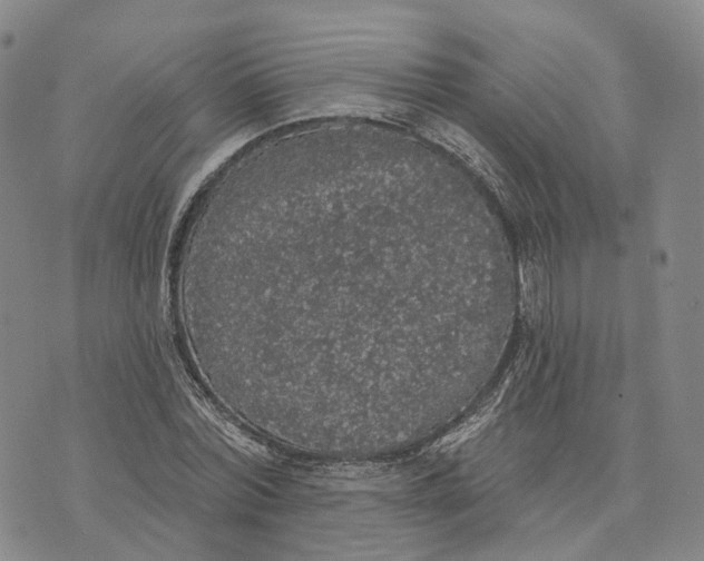 X0000072510780200608041505