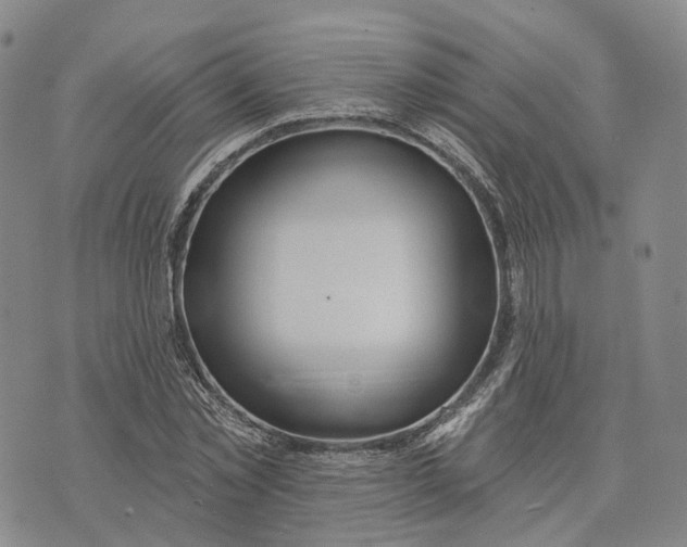 X0000072510781200608041505