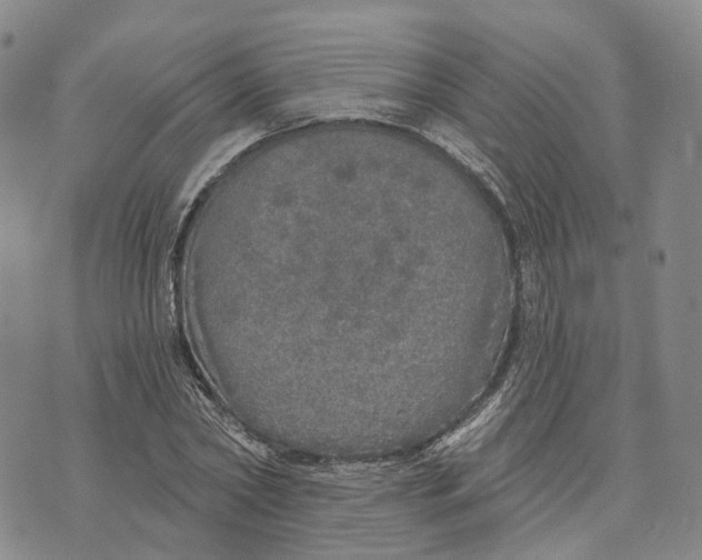 X0000072510782200608041505