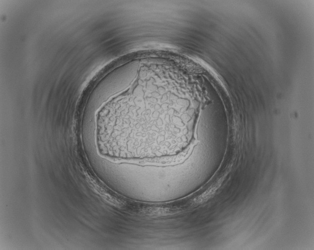 X0000072510783200608041505