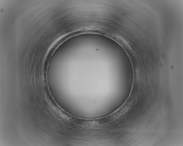 X0000072510784200608041505