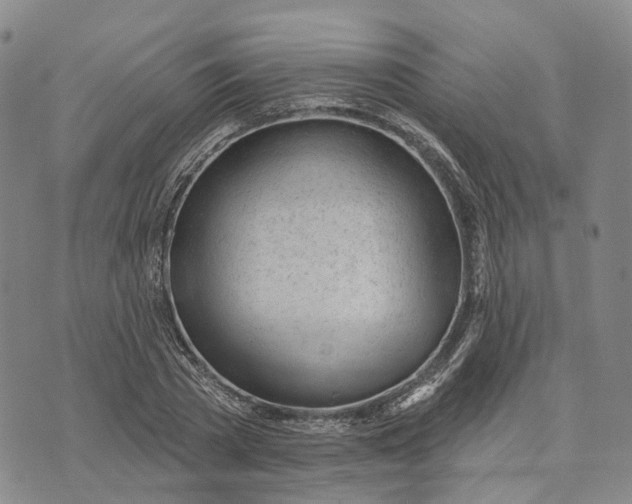 X0000072510785200608041505