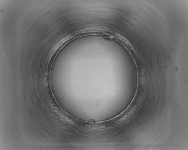 X0000072510786200608041505