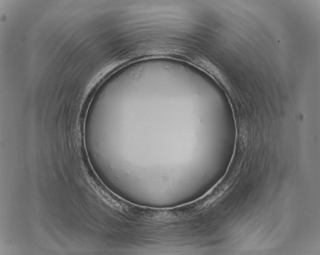 X0000072510787200608041505