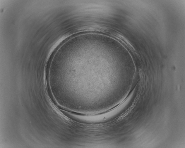 X0000072510788200608041505