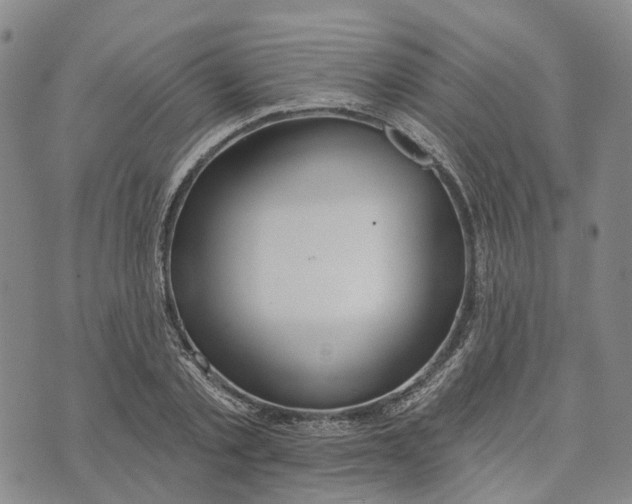 X0000072510789200608041505