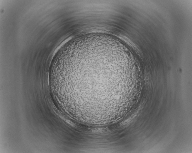 X0000072510790200608041505