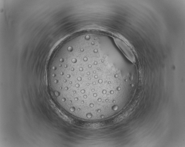 X0000072510791200608041505