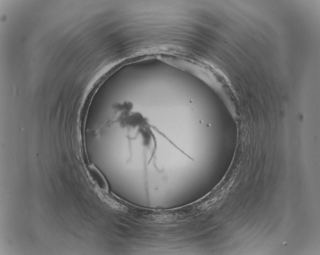 X0000072510792200608041505