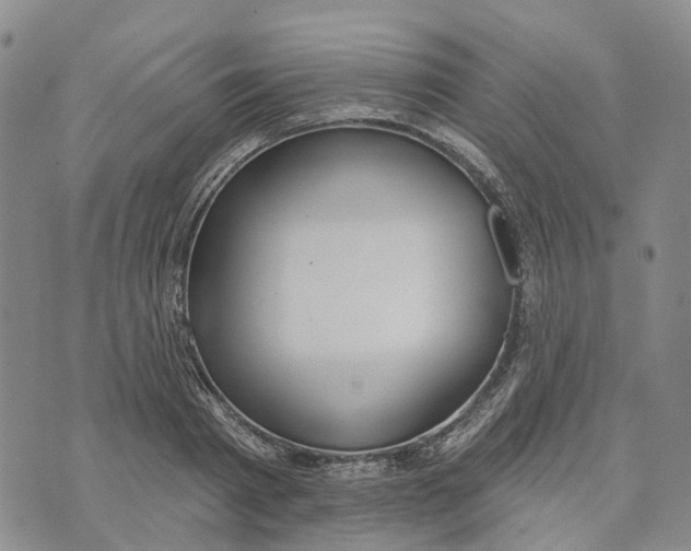 X0000072510793200608041505