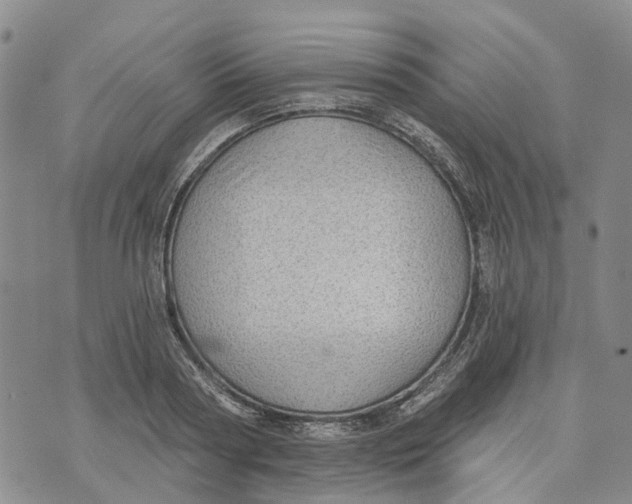 X0000072510794200608041505