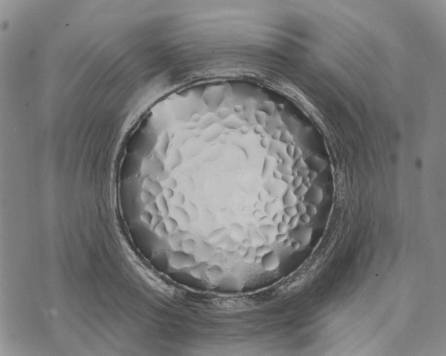 X0000072510795200608041505