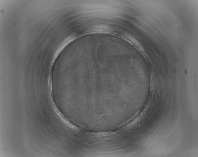 X0000072510796200608041505