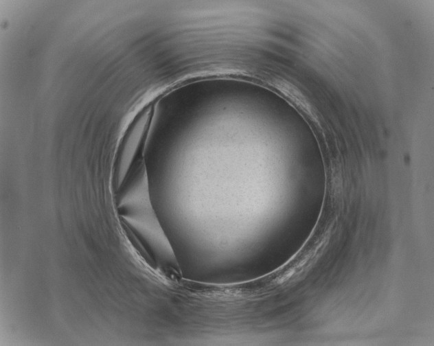 X0000072510797200608041505