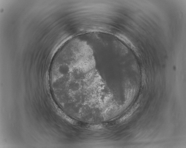 X0000072510798200608041505