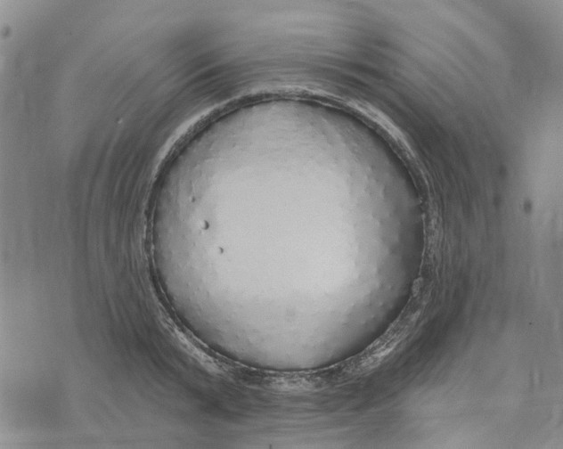 X0000072510799200608041505