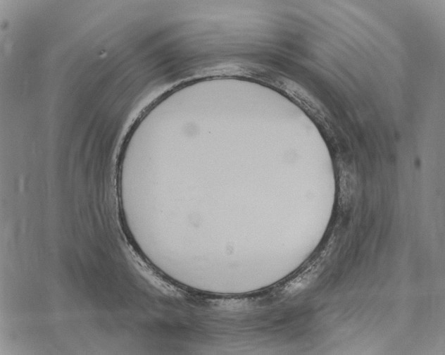 X0000072510800200608041505