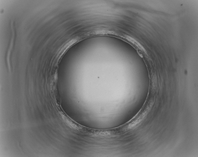 X0000072510801200608041505