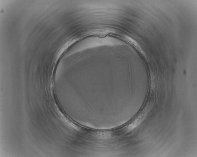 X0000072510802200608041505