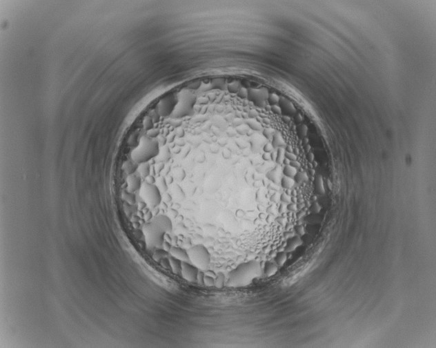 X0000072510803200608041505