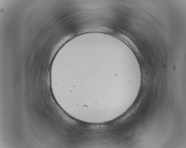 X0000072510804200608041505