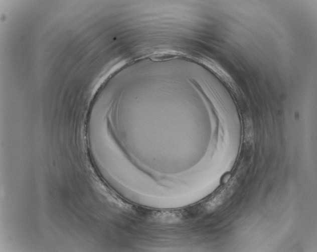 X0000072510806200608041505