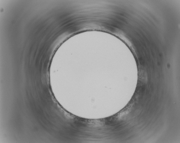 X0000072510807200608041505