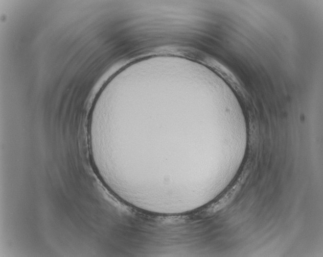 X0000072510808200608041505