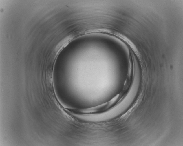 X0000072510809200608041505