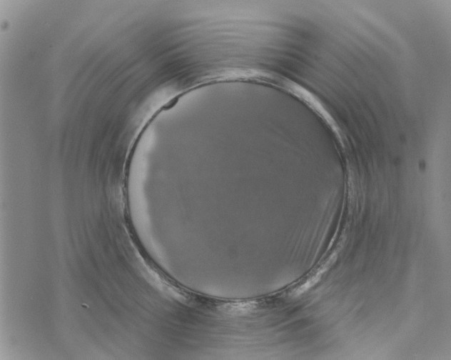 X0000072510810200608041505