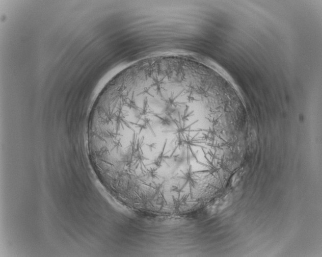 X0000072510811200608041505