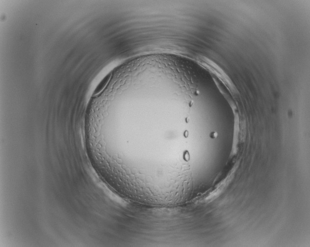 X0000072510812200608041505