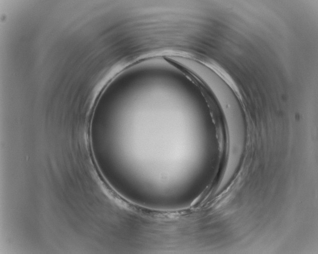 X0000072510813200608041505