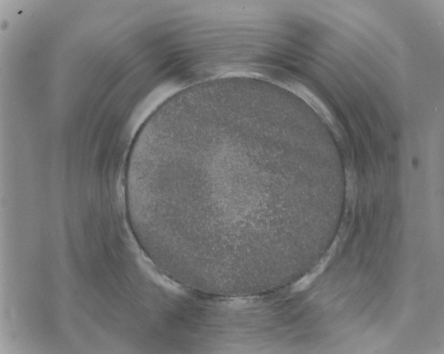 X0000072510814200608041505