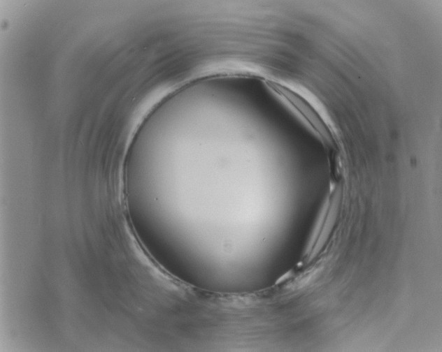 X0000072510815200608041505