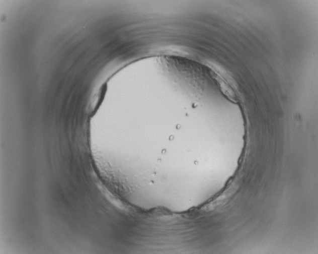 X0000072510816200608041505