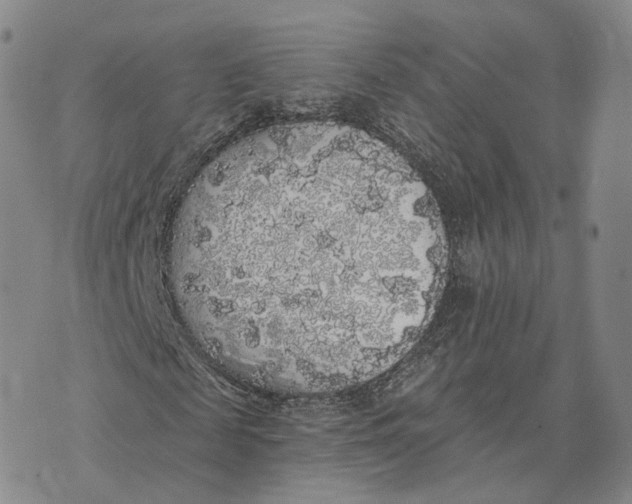 X0000072510817200608041504