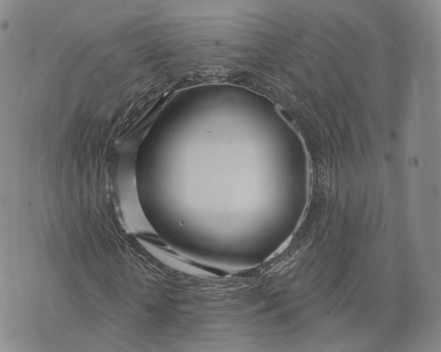 X0000072510818200608041504