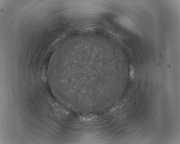 X0000072510819200608041504