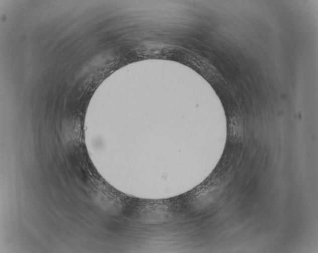 X0000072510820200608041504