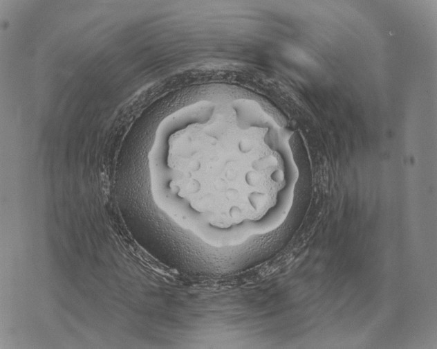 X0000072510821200608041504