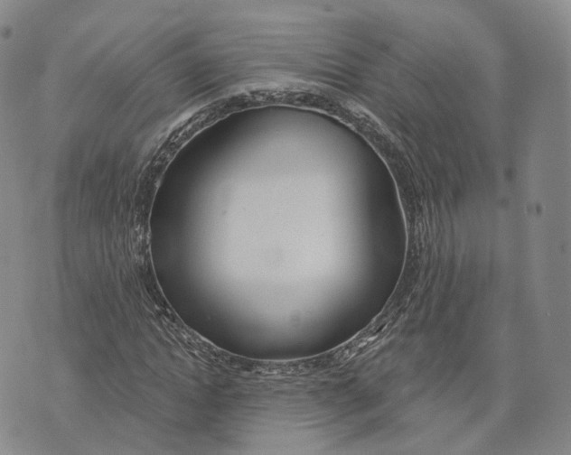 X0000072510822200608041504