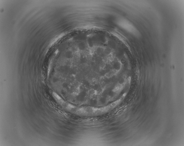 X0000072510823200608041504