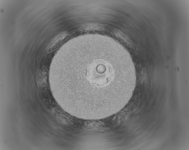 X0000072510824200608041504