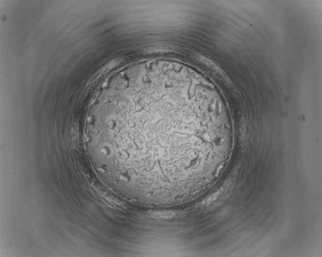 X0000072510825200608041504