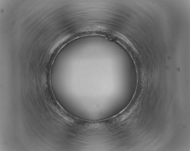 X0000072510826200608041504